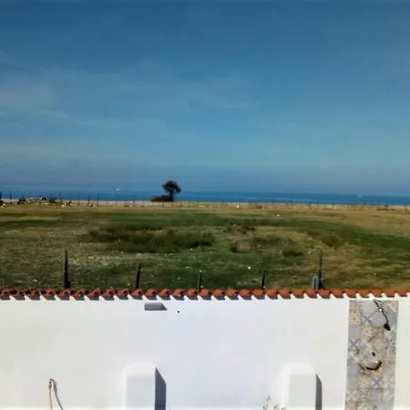 Mediterranea Palmi