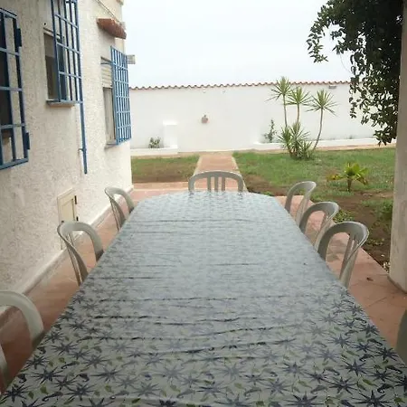 Mediterranea * Palmi