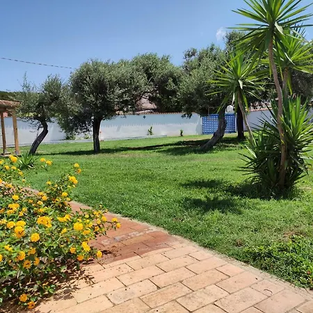 Mediterranea Palmi
